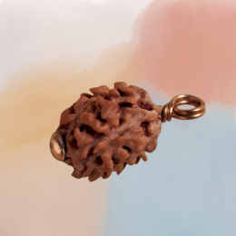 Authentic Isha Dwimukhi Rudraksha bead. Consecrated at Dhyanalinga